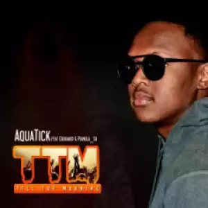 AquaticDJ - TTM (feat. Cbu Da Kid & Pianola SA)